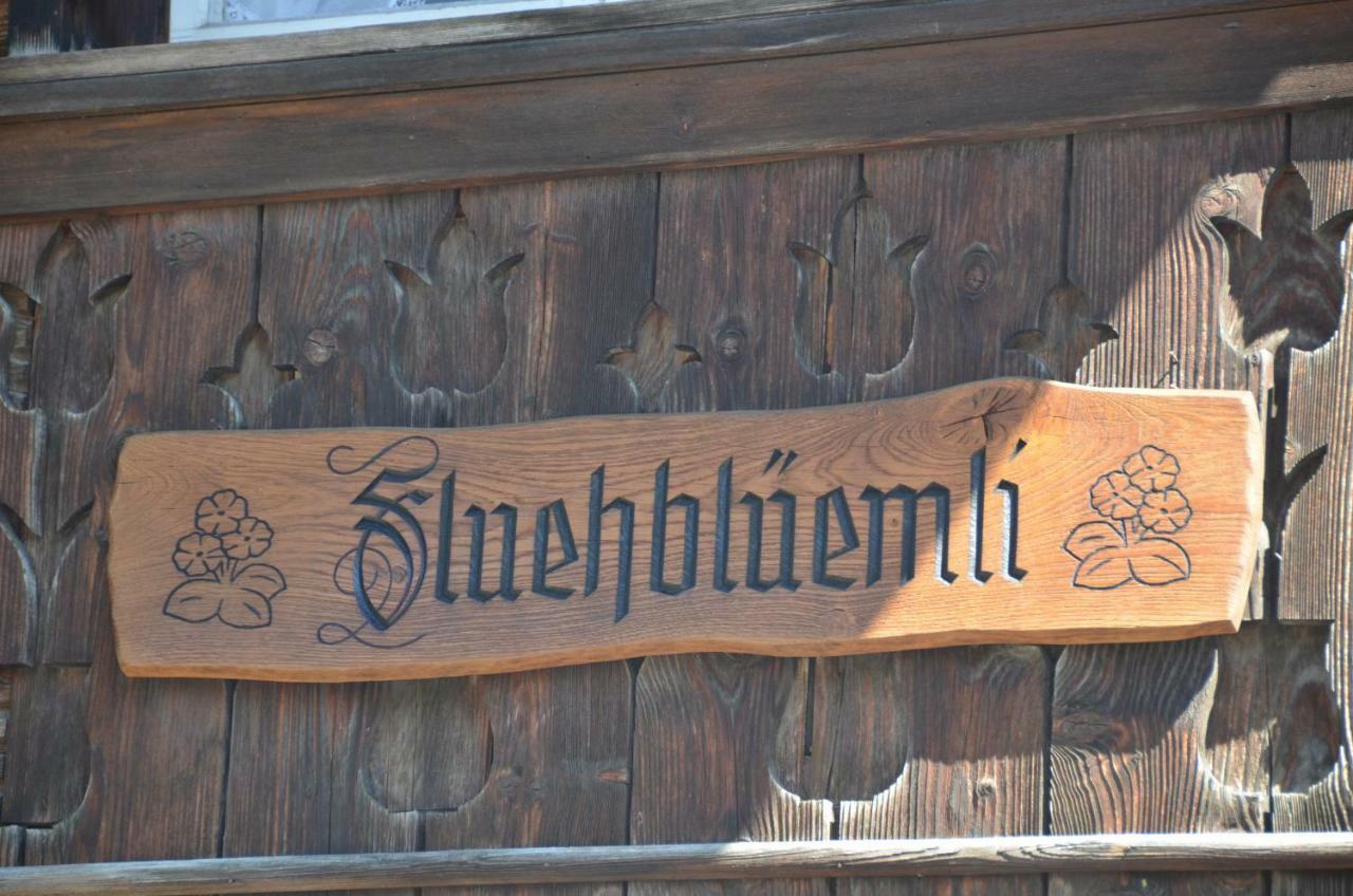Fluehblueemli Apartment กรินเดลวัลด์ ภายนอก รูปภาพ