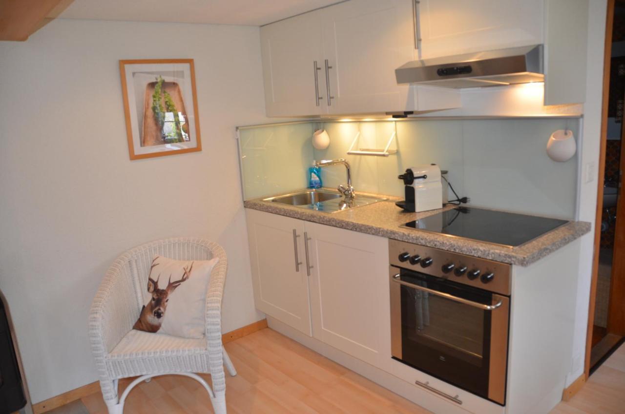 Fluehblueemli Apartment กรินเดลวัลด์ ภายนอก รูปภาพ